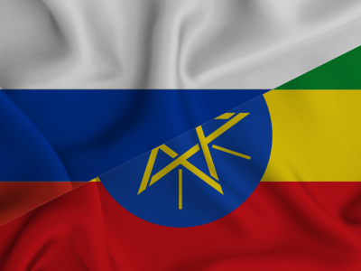 ФГБУ «ЦНИГРИ» приняло участие в работе VIII сессии Межправительственной Российско-Эфиопской комиссии по экономике, науке, техническому и торговому сотрудничеству