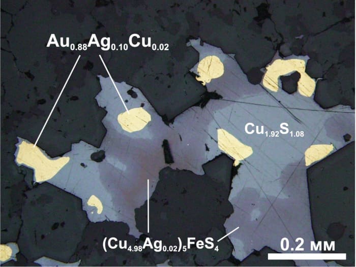 PARAGENESIS OF NATIVE GOLD WITH CHALCOCITE AND BORNITE